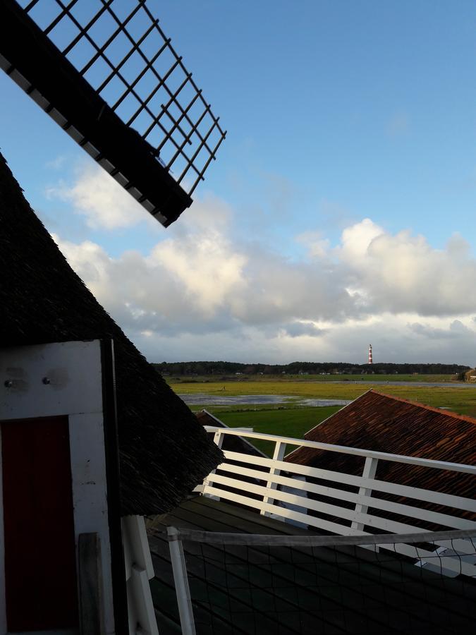 Hollumerduinen Hollum  Bagian luar foto