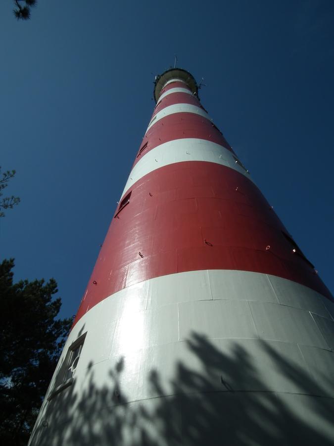Hollumerduinen Hollum  Bagian luar foto